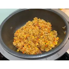 NỒI TỰ ĐẢO OHELLA MASTER MULTICOOKER