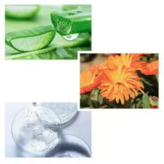 Gel lô hội  của thương hiệu Farmstay 300ml 760574