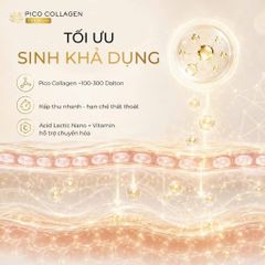 PICO COLLAGEN PREMIUM 150 Viên Nhật Bản – Bổ Sung Collagen Hỗ Trợ Da Săn Chắc, Căng Mịn