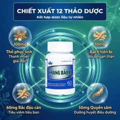 Viên uống hỗ trợ giảm mụn nhọt, da khô, nứt nẻ, lở ngứa của bệnhh vảy nến Khang Bảo Bì Kingphar (60 viên)