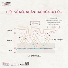 Nước uống bổ sung Collagen-Peptide, giúp giảm lão hóa da, tăng độ đàn hồi và giữ ẩm cho da, giúp da sáng mịn Elasten (28+2 ống x 25ml)