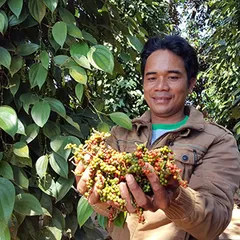 Tiêu Đen Nguyên Hạt Macpepper - Vị Cay Thơm Nồng, Nguyên Chất, Chọn lọc, Làm sạch bằng máy.