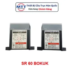 Diot thắng từ cầu trục - Diot chỉnh lưu phanh động cơ - Bộ chỉnh lưu SR 60 thương hiệu BOKUK - AC 220V - DC 99V