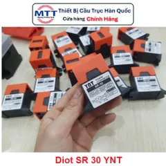 Diot chỉnh lưu SR 30 YNT - Diot chỉnh lưu cầu trục - AC 200/220V - DC 90/99V - Tần số 50/60Hz - Cường độ 3A(Max)