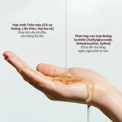 Bản Nâng Cấp - Dầu gội vỏ bưởi & bồ kết Herbario 300ml không sunfate không silicon