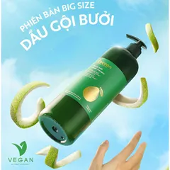 Bigsize - Dầu gội bưởi Pomelo Cocoon giúp giảm gãy rụng và làm mềm tóc 500ml Thuần chay