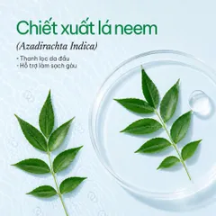 [SVIP] Dầu gội thảo dược sạch gàu 5T Herbario 250ml - Vegan Mỹ phẩm thuần chay