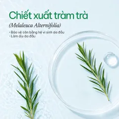 [SVIP] Dầu gội thảo dược sạch gàu 5T Herbario 250ml - Vegan Mỹ phẩm thuần chay