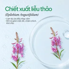 [SVIP] Dầu gội thảo dược sạch gàu 5T Herbario 250ml - Vegan Mỹ phẩm thuần chay