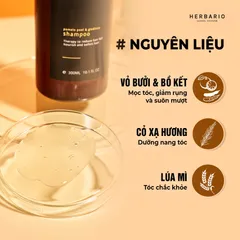 Bộ đôi Dầu GỘI XẢ bồ kết & vỏ bưởi Herbario 300ml TẶNG xịt dưỡng Herbario 100ml