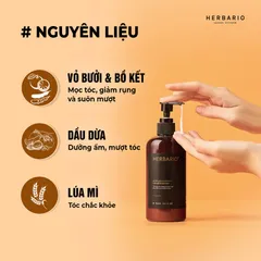 Bộ đôi Dầu GỘI XẢ bồ kết & vỏ bưởi Herbario 300ml TẶNG xịt dưỡng Herbario 100ml