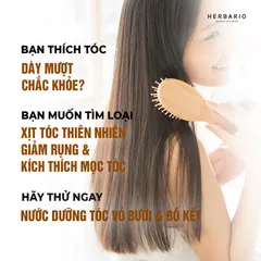 Combo 2 Nước dưỡng tóc Vỏ Bưởi và Bồ Kết Herbario 100ml