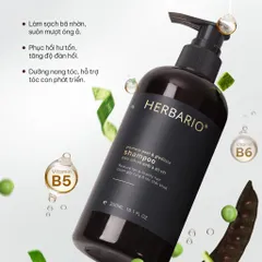[SVIP] - Dầu gội vỏ bưởi và bồ kết HERBARIO 300ml giảm rụng tóc, phục hồi tóc - VEGAN - Mỹ phẩm thuần chay