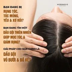 MEMBERGIFT [Hàng tặng không bán] - Dầu gội vỏ bưởi và bồ kết HERBARIO 300ml