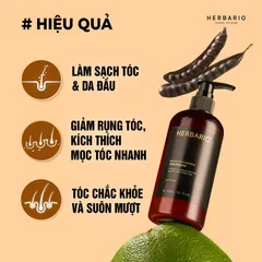 MEMBERGIFT [Hàng tặng không bán] - Dầu gội vỏ bưởi và bồ kết HERBARIO 300ml