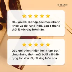 MEMBERGIFT [Hàng tặng không bán] - Dầu gội vỏ bưởi và bồ kết HERBARIO 300ml