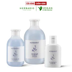 Bộ 3 Hoa đậu biếc chống lão hóa da: Nước tẩy trang 300ml + Toner 200ml + Sữa rửa mặt tạo bọt 100ml