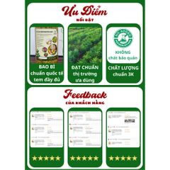 Trà Hoa Hòe Sao Khô [Đặc Biệt] Mùi Thơm, Hỗ Trợ Ổn Định Huyết Áp, Chống Sơ Vữa Động Mạch