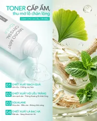 Micro Mint Crystal Toner Bạch Quả Bạc Hà Dr Lacir