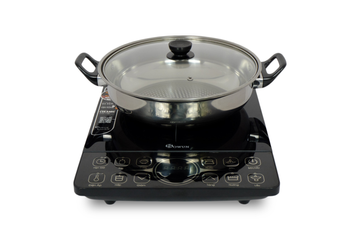 BẾP ĐIỆN TỪ ĐƠN SOWUN SW 163S