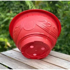 [10 Cái] Chậu Nhựa T33 Truyền Thống (Dày)