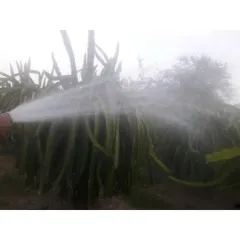 Đầu vòi tưới Béc tưới cây ống 27 - 40 nhụy đồng điều chỉnh xa xịt tưới chuồng trại vệ sinh vật nuôi