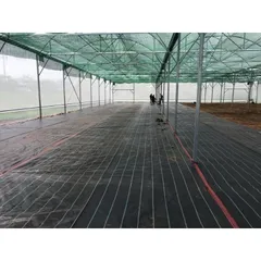 Combo 5m Bạt trải đất diệt cỏ, bạt địa chất khổ rộng 2m 4m