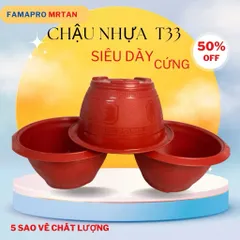 COMBO 10 Cái Chậu Nhựa Trồng Cây T33 Truyền Thống Tuỳ Màu 30 x 17cm NHỰA DẺO SIÊU CỨNG