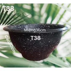 Combo 10 Chậu Nhựa Truyền Thống T38 Trồng Cây Tuỳ Màu 37x20