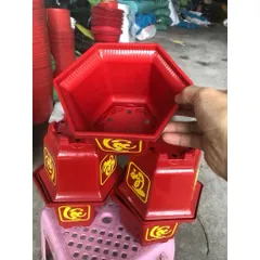 Combo 10 Chậu LG Phúc Lộc Thọ 250