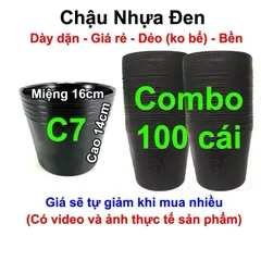 Combo 100 Chậu nhựa trồng Hoa, Cây cảnh C7 (16x14cm)