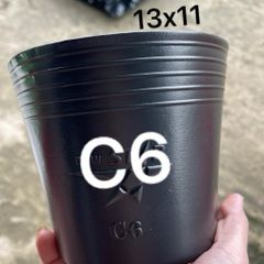 Combo 100 cái Chậu Nhựa Đen C6 Hàng Chuẩn Dẻo Dai