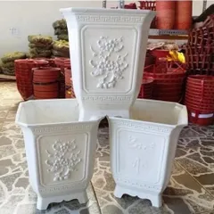 Sỉ 10 chậu vuông tứ quý 3 kích thước ngang 25cm cao 30cm