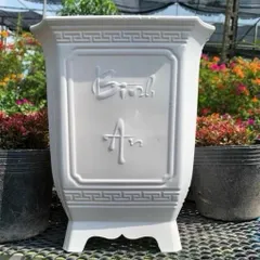 Sỉ 10 chậu vuông tứ quý 3 kích thước ngang 25cm cao 30cm