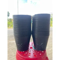 Combo 100 Chậu C6 hàng chuẩn dẻo dai