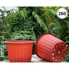 Combo 10 Chậu TTK  260x200mm màu nâu đỏ miệng vành cứng