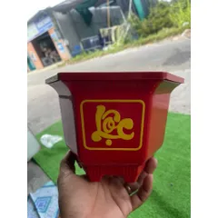 Comb 10 Cái Chậu Nhựa Trồng Cây Lục Giác 210 Phúc Lộc Thọ Tuỳ Màu Dày Dặn 23x15cm