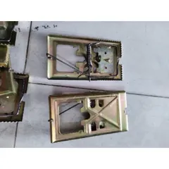 Combo 10 cái bẫy đập chuột răng cưa