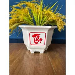 Comb 10 Cái Chậu Nhựa Trồng Cây Lục Giác 210 Phúc Lộc Thọ Tuỳ Màu Dày Dặn 23x15cm