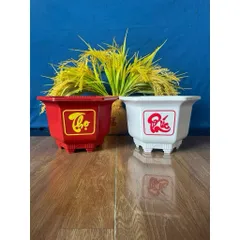 Comb 10 Cái Chậu Nhựa Trồng Cây Lục Giác 210 Phúc Lộc Thọ Tuỳ Màu Dày Dặn 23x15cm