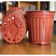 10 cái chậu nhựa trồng hoa Tân Trường Khang 260 (26cm x 20cm)