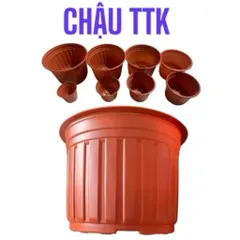 10 cái chậu nhựa trồng hoa Tân Trường Khang 260 (26cm x 20cm)