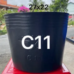 Combo 100 cái Chậu Nhựa Đen C11 Hàng Chuẩn Dẻo Dai