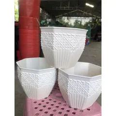 Combo 10 Chậu nhựa cứng bát giác 5