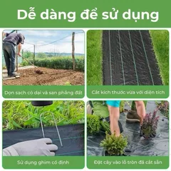 Bạt trải cỏ Gia Lợi 4Mx50M