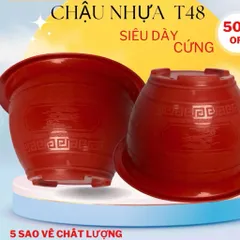 Combo 10 chậu Chậu nhựa trồng cây Phúc lộc thọ T48,kích thước 46x23cm, chậu trồng hoa cây cảnh quất đào tết