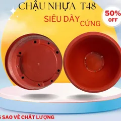 Combo 10 chậu Chậu nhựa trồng cây Phúc lộc thọ T48,kích thước 46x23cm, chậu trồng hoa cây cảnh quất đào tết