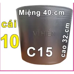 Combo 50 Chậu nhựa VĨ HIỀN C15 miệng, cao 40x32cm trồng cây ăn trái và hoa siêu bền