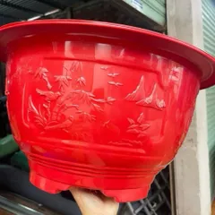 Sỉ 10 Chậu nhựa Đỏ T57 Tứ Quý Trúc dày hàng bóng dày đẹp không bể vỡ trồng cây (hàng đẹp ) ngang 55cmx28cm