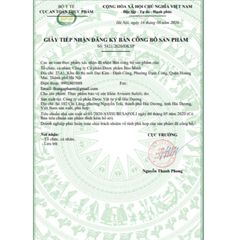 Sắt Hữu Cơ Bổ Sung 5MTHF Sắt Avisure Safoli New Cho Bà Bầu & Sau Sinh